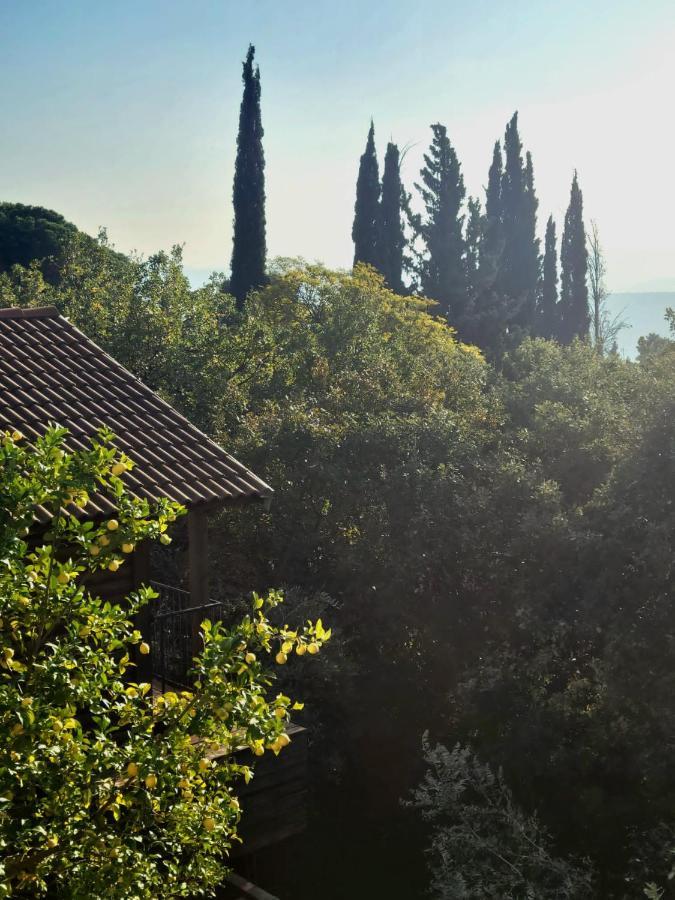 Roof Of The Galilee Βίλα Amirim Εξωτερικό φωτογραφία